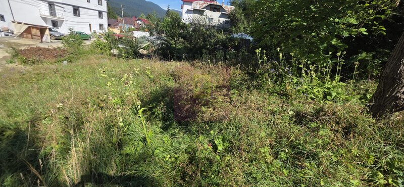 Teren intravilan 288 mp de vanzare in Busteni