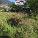 Teren intravilan 288 mp de vanzare in Busteni